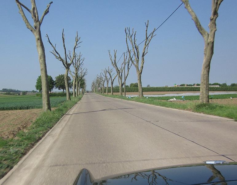 1 mei 2011-MacAdamrit (26).JPG